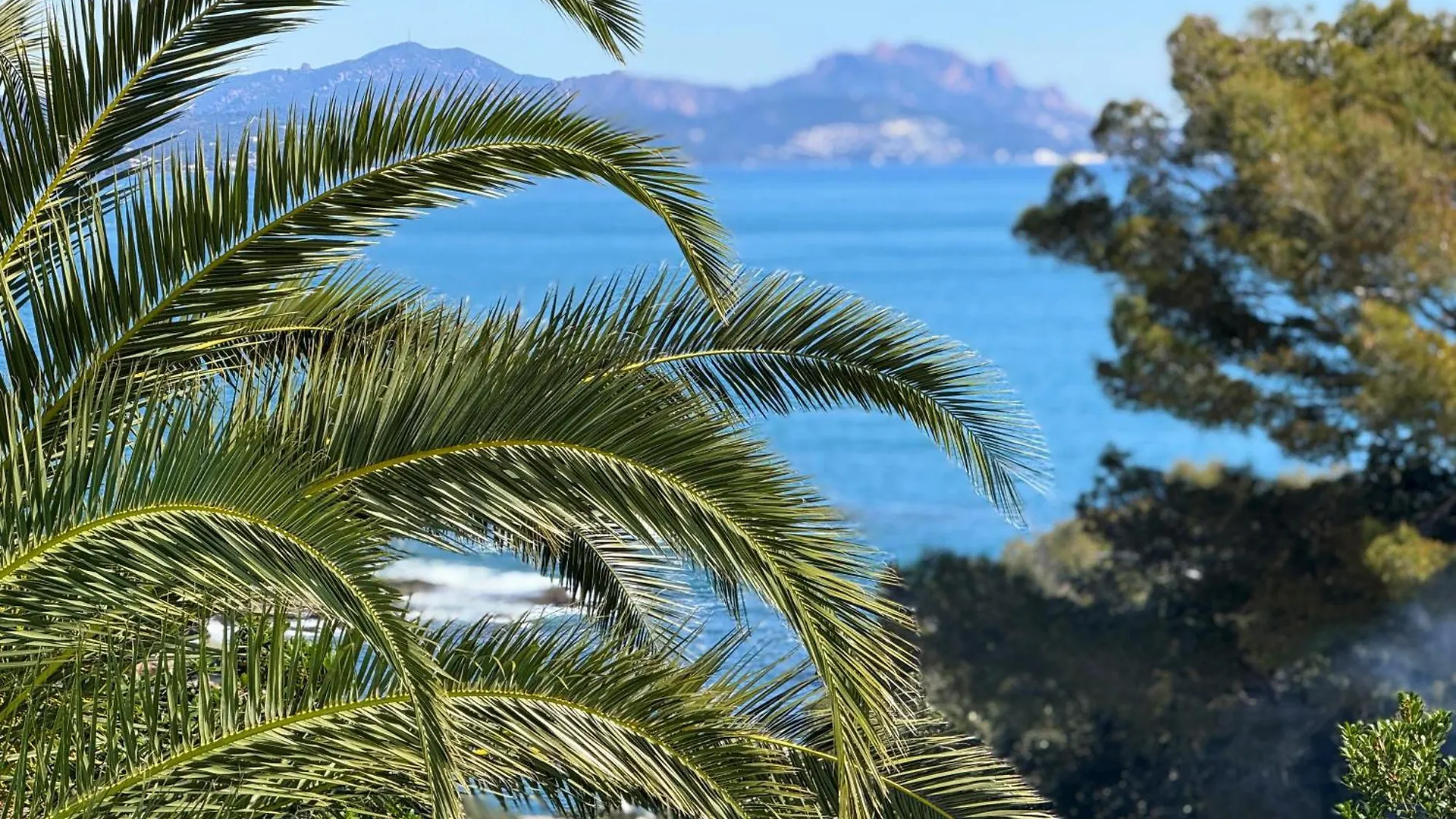 Villa Bluesky - En Bord De Mer - Vue Panoramique Sur La Mer Saint-Peire-sur-Mer